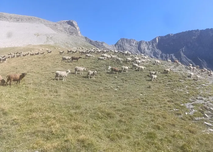 L'auberge Du Berger Hôtel capsule *